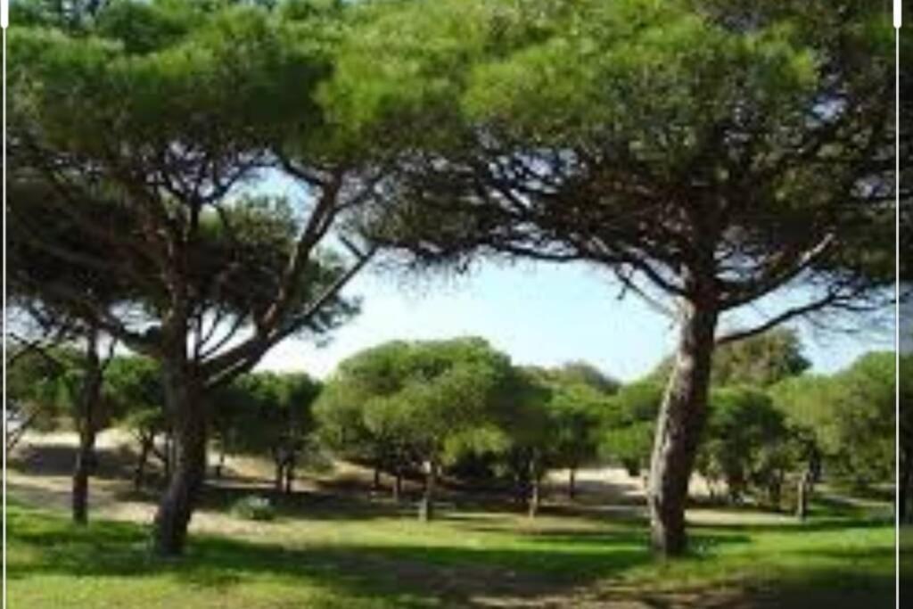 Acogedor Apartamento A 100 M. De Pinares Y Playa Rota Exterior foto