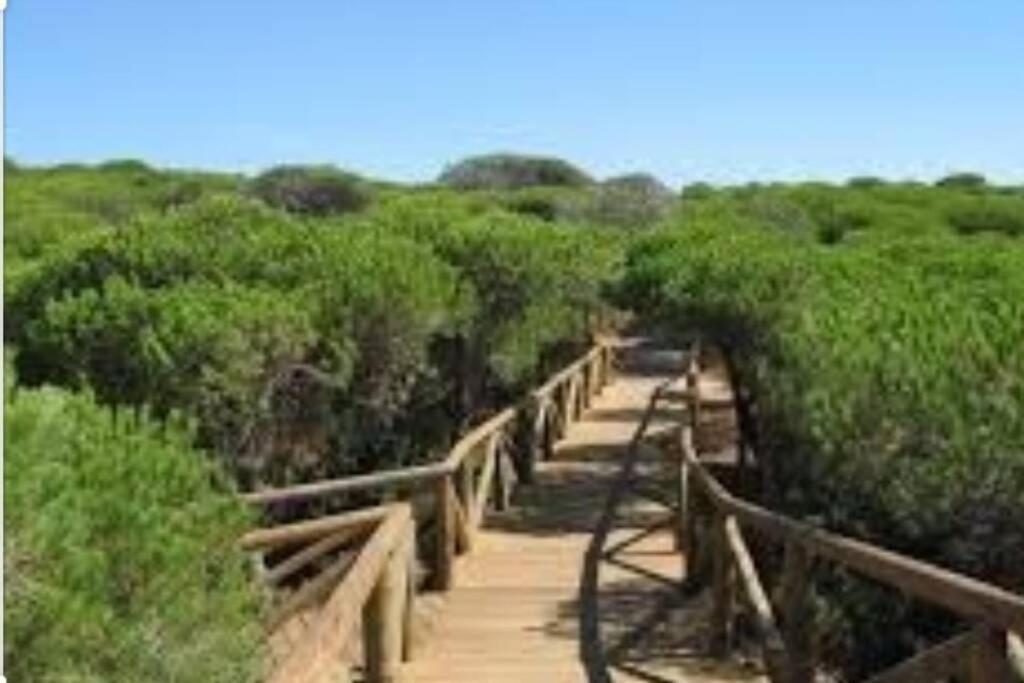 Acogedor Apartamento A 100 M. De Pinares Y Playa Rota Exterior foto
