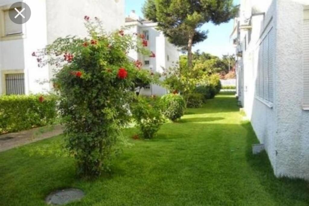 Acogedor Apartamento A 100 M. De Pinares Y Playa Rota Exterior foto