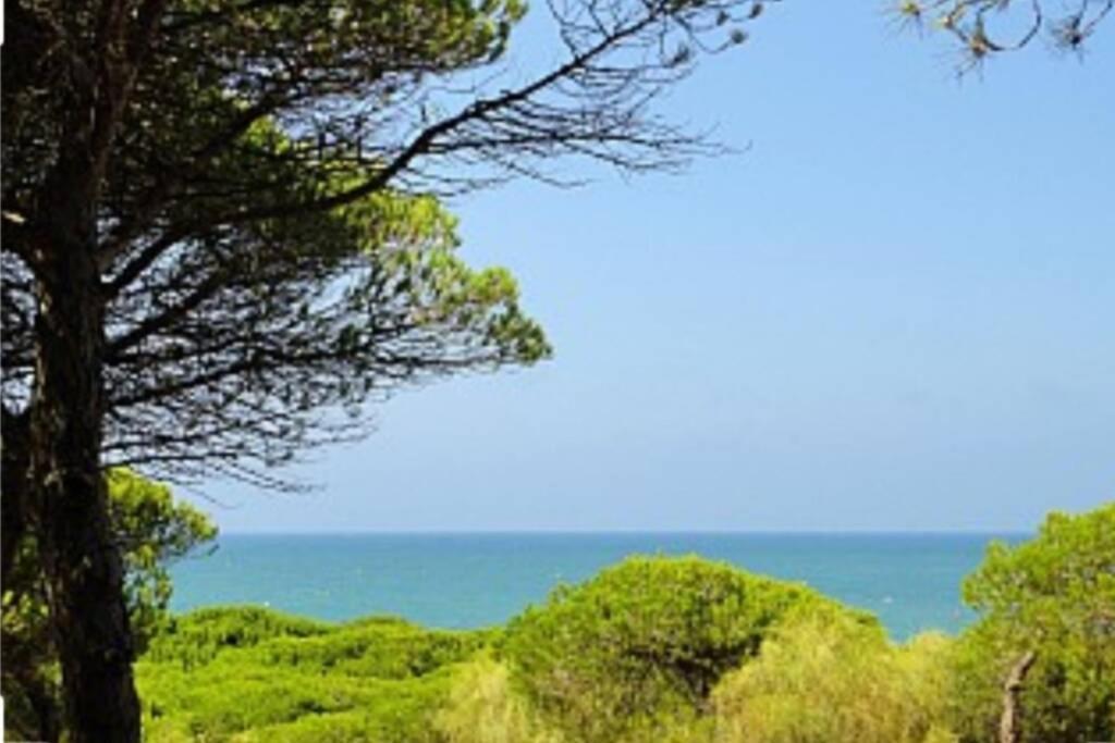 Acogedor Apartamento A 100 M. De Pinares Y Playa Rota Exterior foto