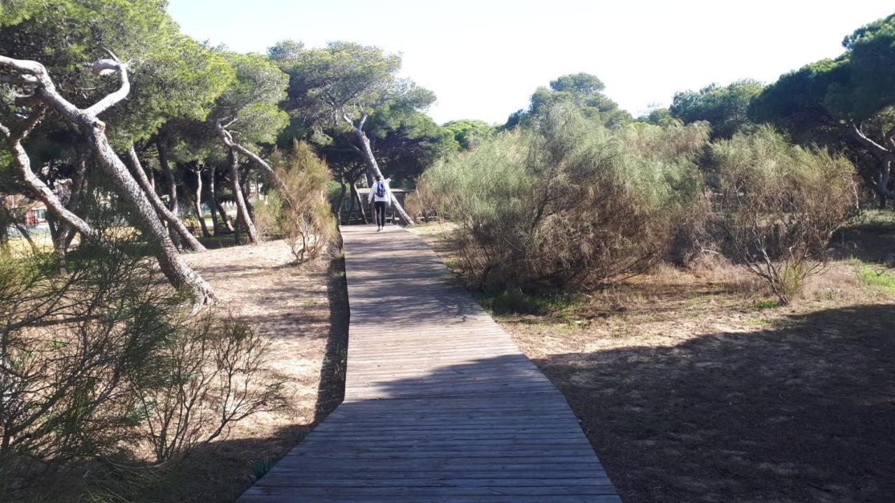 Acogedor Apartamento A 100 M. De Pinares Y Playa Rota Exterior foto